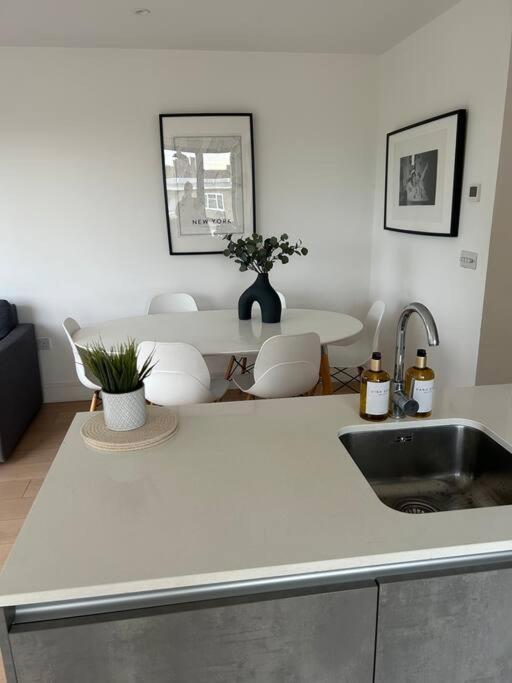Stylish Penthouse London-zone 1 Londra