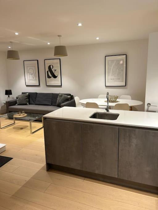 Stylish Penthouse London-zone 1 Apartament